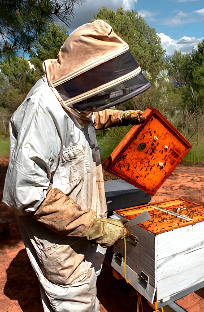 Beekeeping Technology